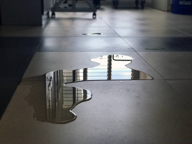 Local water damage restoration in Belvedere, CA